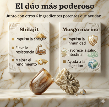 Shilajit BetterAlt – El Combustible Natural que Activa tu Energía, Mente y Rendimiento ⚡